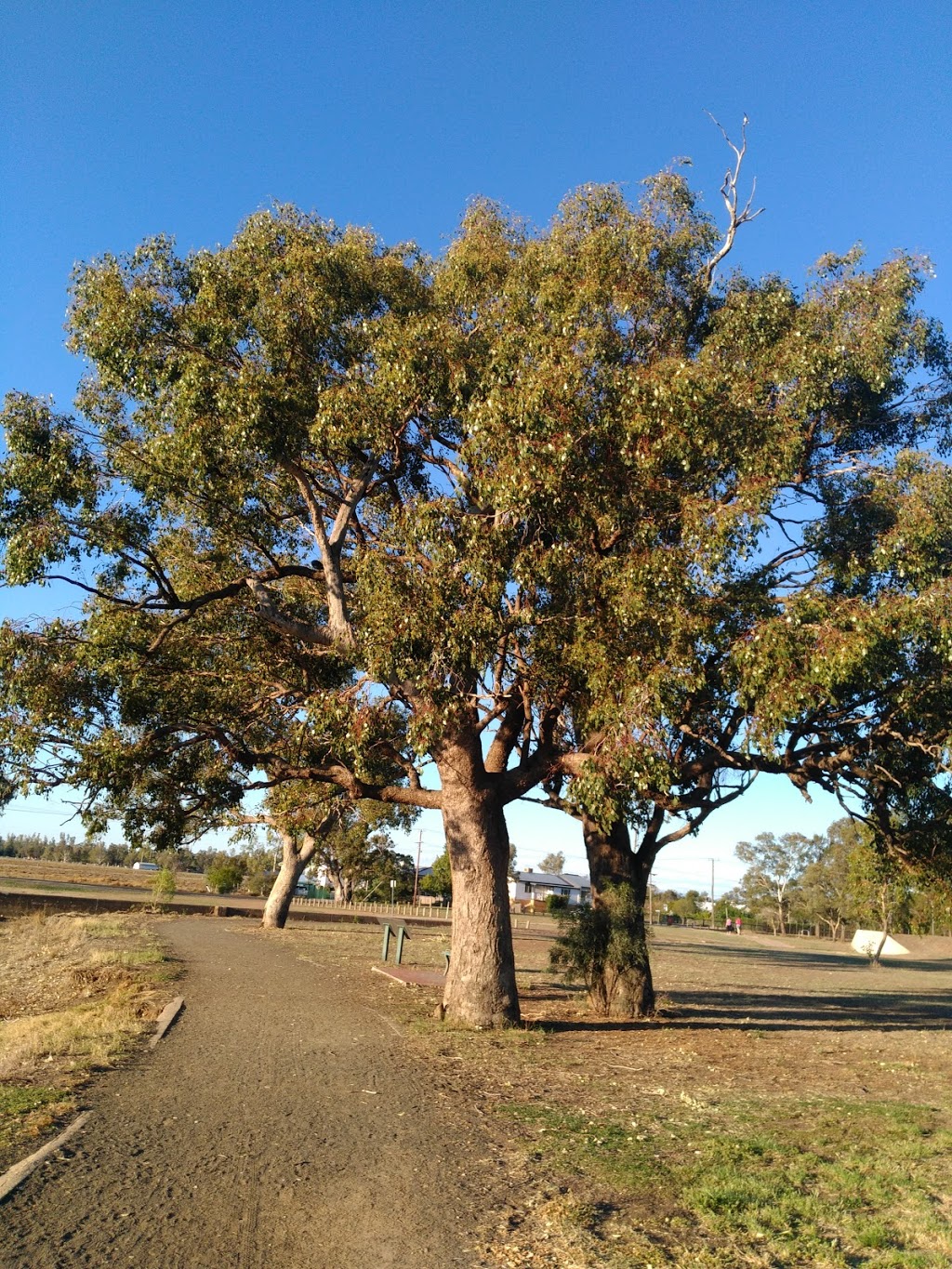 Villarette Ave - Furnished Accommodation | 4 Villarette Ave, Narrabri NSW 2390, Australia | Phone: 0428 696 256