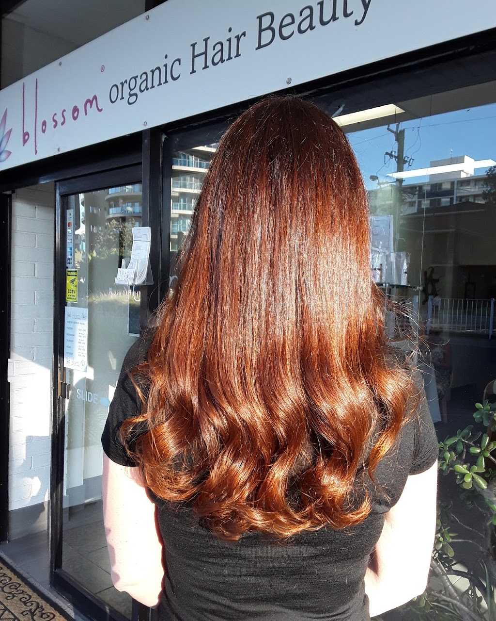 blossom organic Hair Beauty Wellbeing | hair care | Shop 3 Cnr Head &, Beach St, Forster NSW 2428, Australia | 0265555959 OR +61 2 6555 5959
