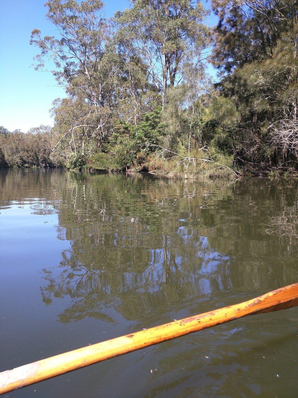 Lane Cove National Park Picnic Bookings | park | Max Allen Dr, Lindfield NSW 2070, Australia | 0284480406 OR +61 2 8448 0406