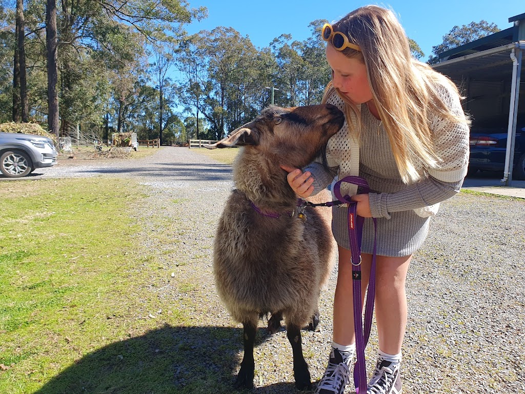 K&C Farmstays - NDIS Respite & Disability STA | 1126 E Seaham Rd, Clarence Town NSW 2321, Australia | Phone: 0482 430 691