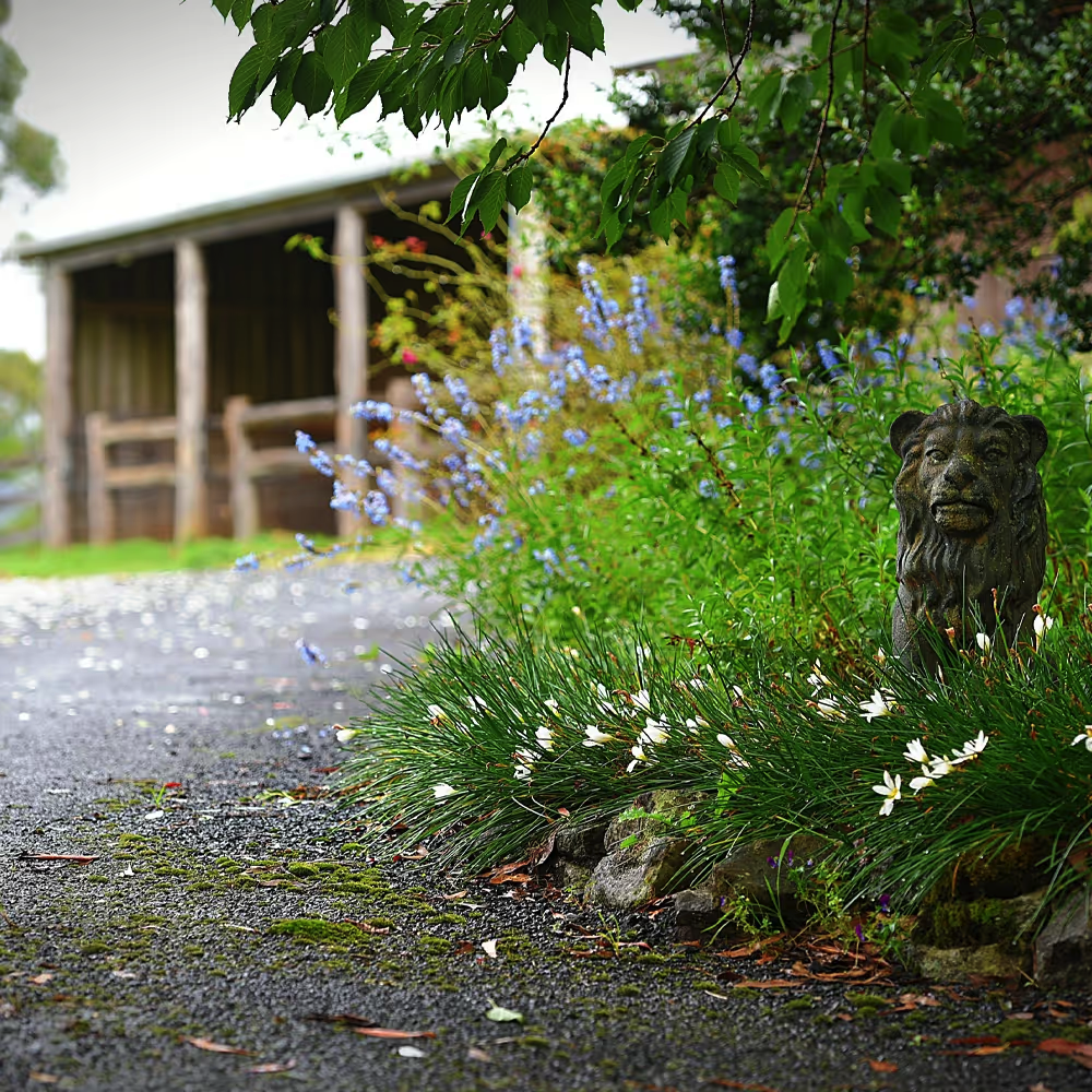 Epona Enterprises | 185 Beaumonts Rd, Deer Vale NSW 2453, Australia | Phone: 0404 493 043