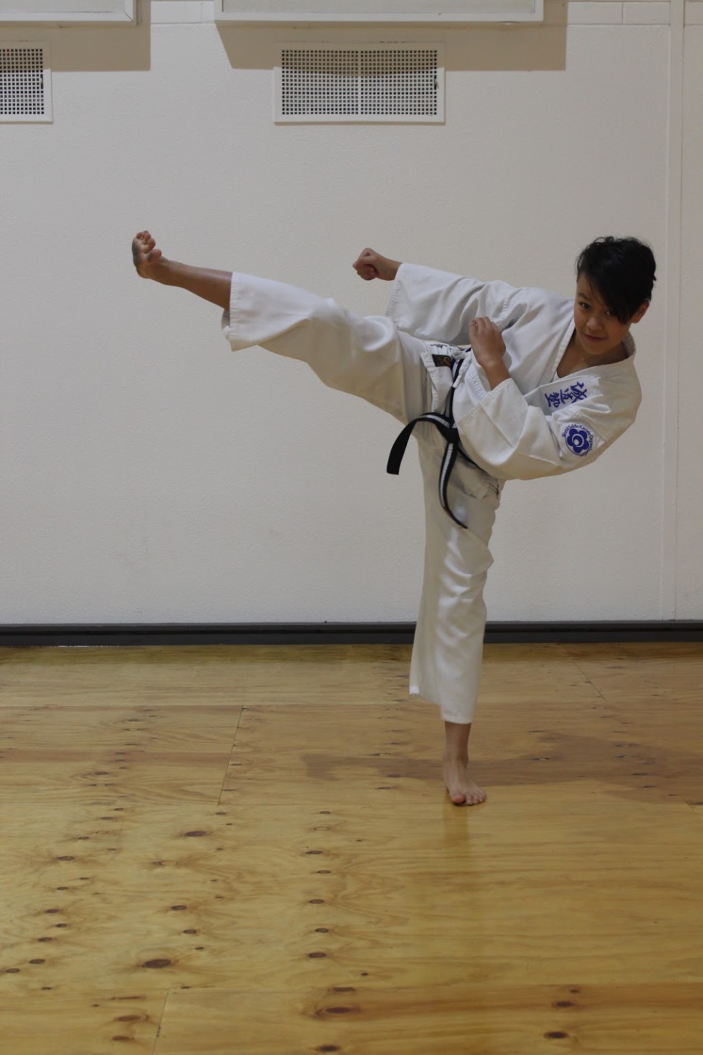 Seido Karate Bundoora | health | 1436 Plenty Rd, Bundoora VIC 3083, Australia | 0450240220 OR +61 450 240 220