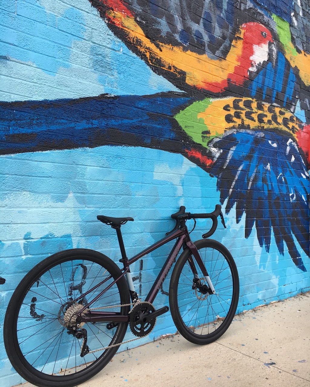 West End Cycles (West End Bike Hub) | 25 Muntz St, Wangaratta VIC 3677, Australia | Phone: (03) 5721 4519