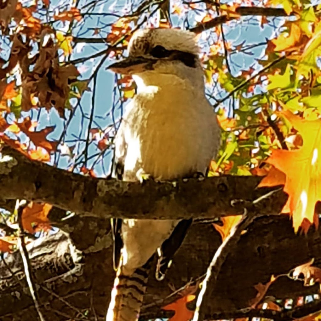 Bowral Road Bed & Breakfast & Counselling Retreat | health | 77 Bowral Rd, Bowral NSW 2575, Australia | 0248723724 OR +61 2 4872 3724