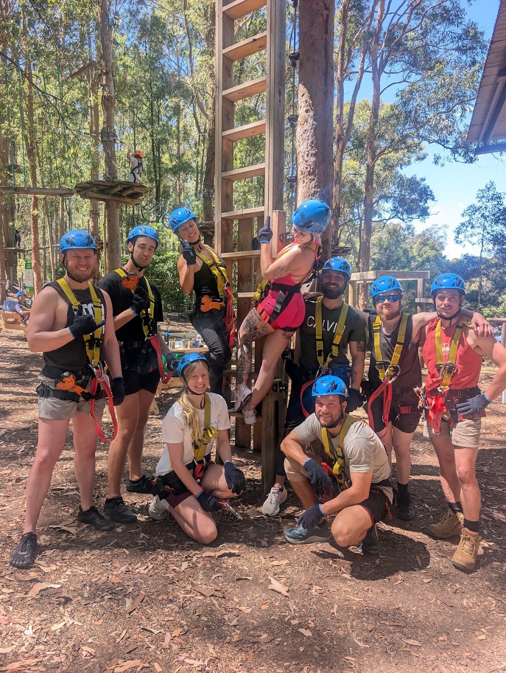 WildNets Adventure Newcastle - Previously TreeTops | Treetops Rd, Minmi NSW 2287, Australia | Phone: 0435 422 447