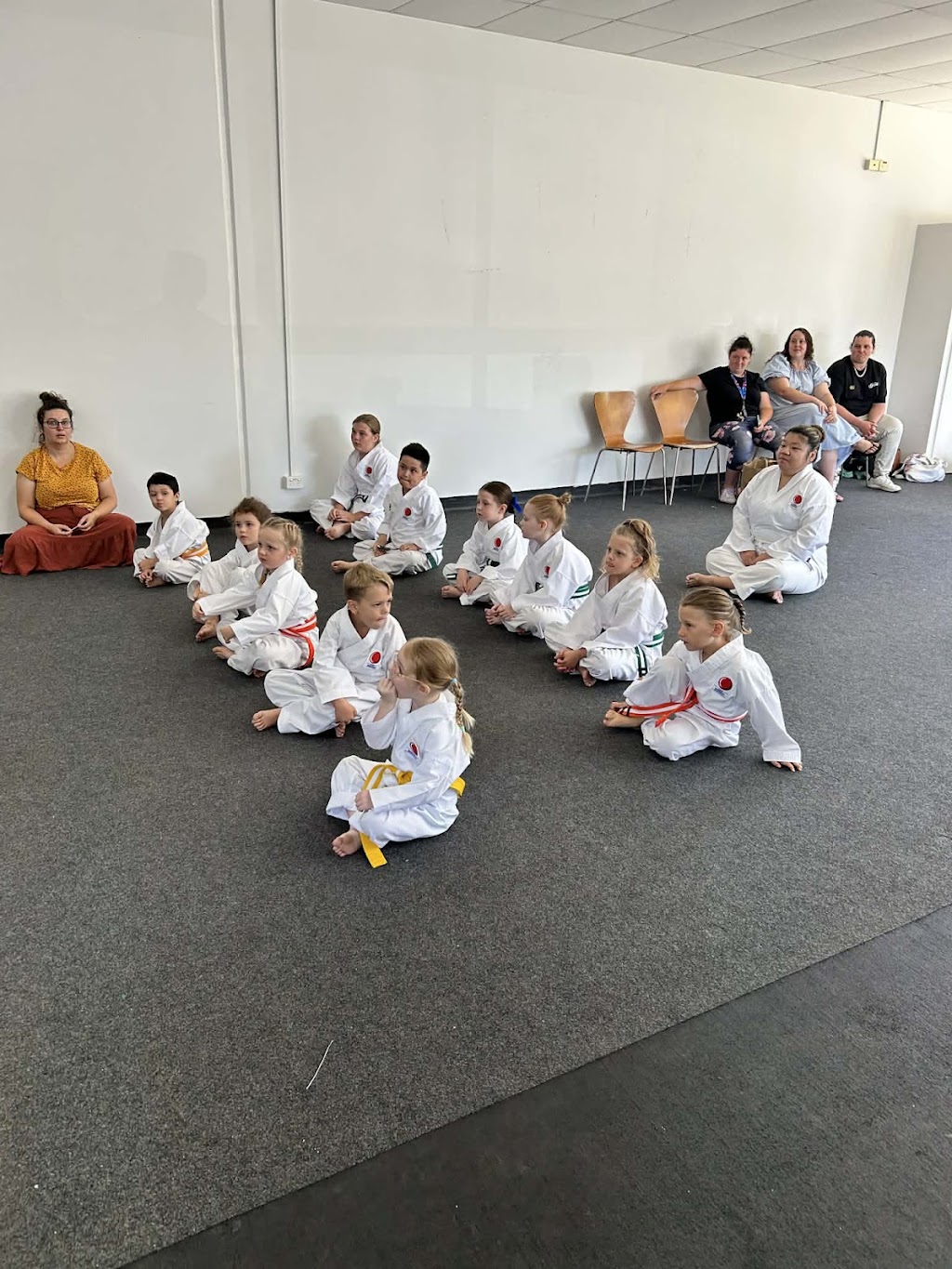 Karate Budokan International Newcastle | 26 Kilshanny Ave, Ashtonfield NSW 2323, Australia | Phone: 0413 689 295