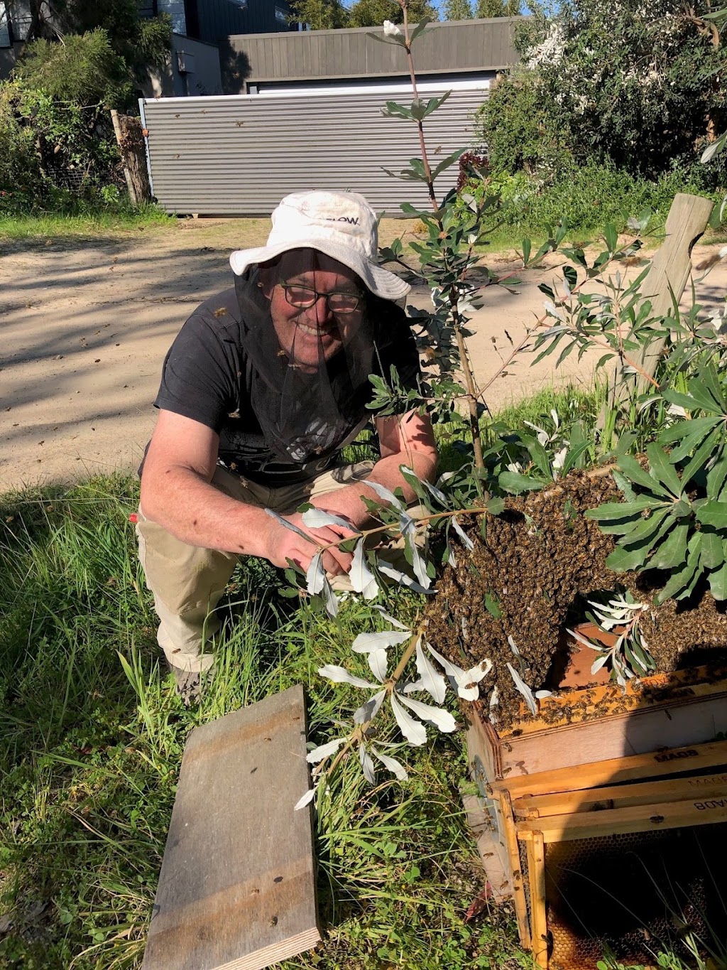 Tarnagulla Honey | 159 Hendersons Rd, Bittern VIC 3918, Australia | Phone: 0417 023 927