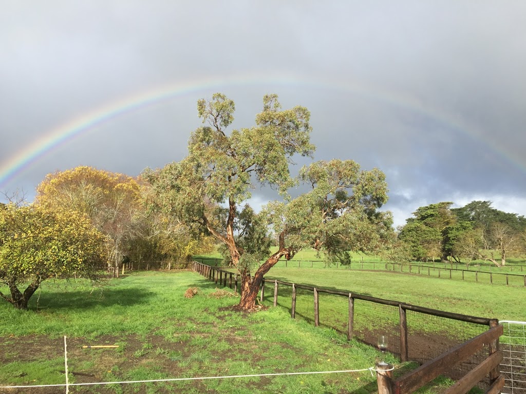 Hidden Rivers Horse Agistment & Laser Therapy | 621 Flaxley Rd, Bugle Ranges SA 5251, Australia | Phone: 0413 580 120