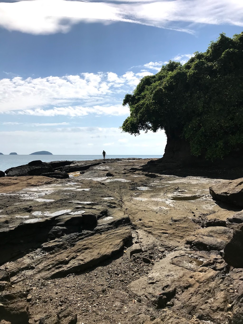 Stephens Island Camping Area | campground | Sisters-Stephens Reef, Kurrimine Beach QLD 4871, Australia | 137468 OR +61 137468