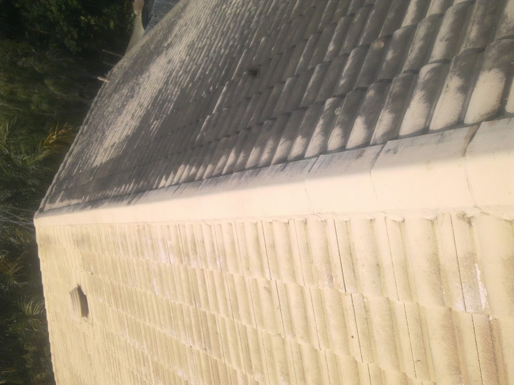 Professional Roof Cleaning | 37 Laurel St, Redbank Plains QLD 4301, Australia | Phone: 0405 798 540