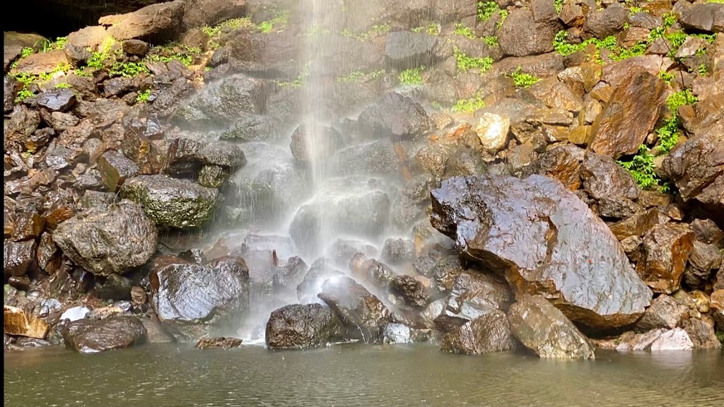 Protesters Falls |  | Nightcap National Park, Protester Falls Track, Nightcap NSW 2480, Australia | 0266270200 OR +61 2 6627 0200