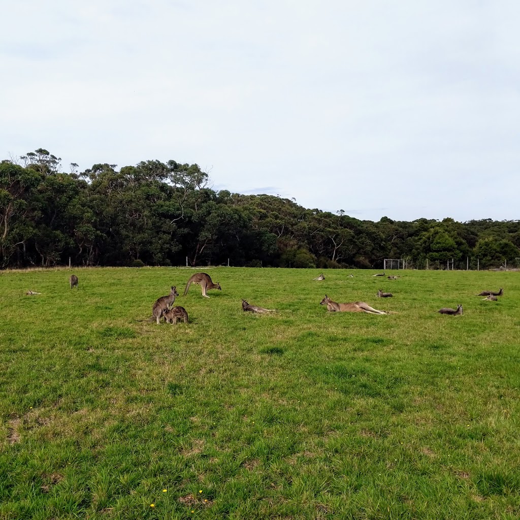 Conservation Ecology Centre |  | Otway Lighthouse Rd, Cape Otway VIC 3233, Australia | 0352379297 OR +61 3 5237 9297