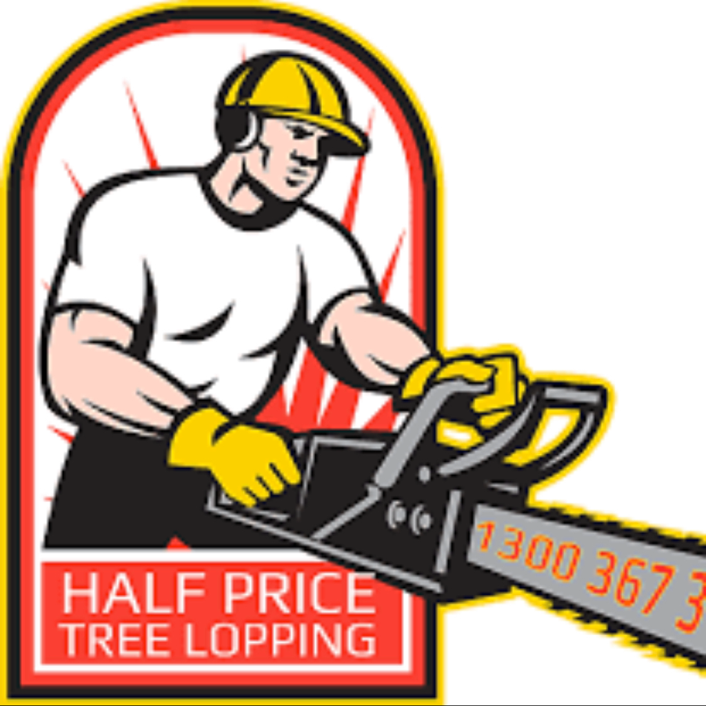 Half Price Tree Lopping | 767 Mount Gravatt Capalaba Rd, Wishart QLD 4122, Australia | Phone: (07) 3394 8402