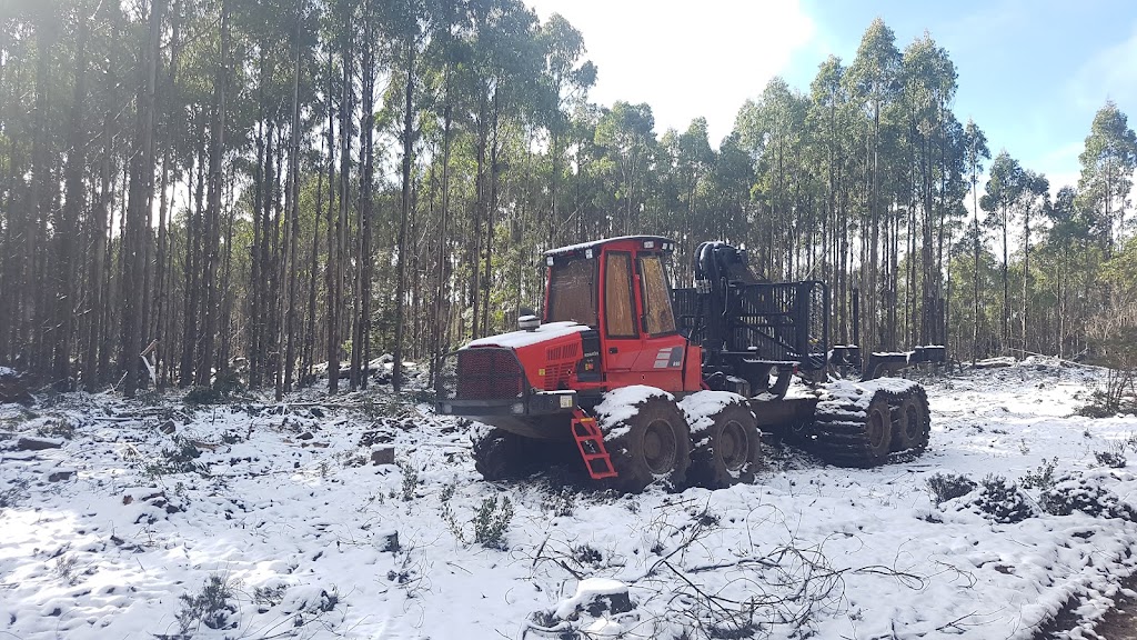 Komatsu Forest Pty Ltd | 6 Munro St, Western Junction TAS 7212, Australia | Phone: (03) 6391 8322