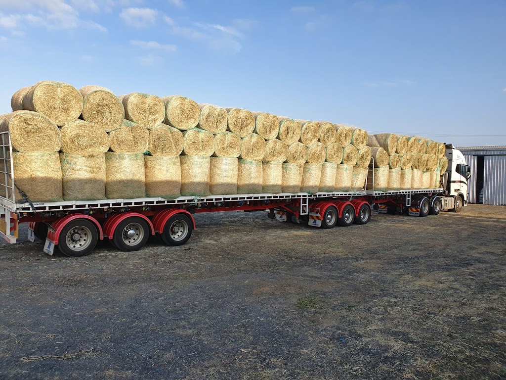 Cottones Hay & Feed Shed | store | 21 Cumners Rd, Gatton QLD 4343, Australia | 0754623453 OR +61 7 5462 3453