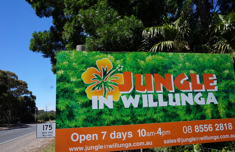 Jungle in Willunga | 175 Main Rd, Willunga SA 5172, Australia | Phone: (08) 8556 2818