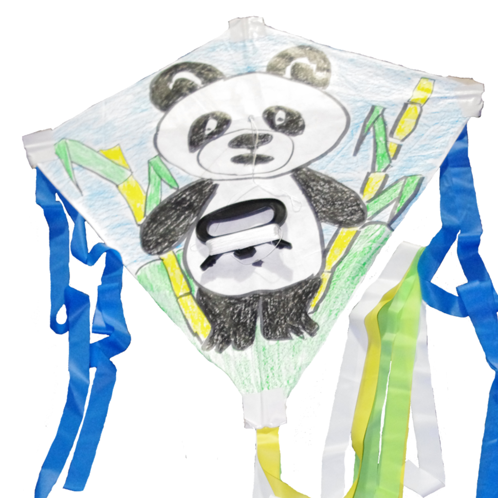 Kites 4 Kids | 2 Inga Ct, Frankston VIC 3199, Australia | Phone: (03) 9789 6307