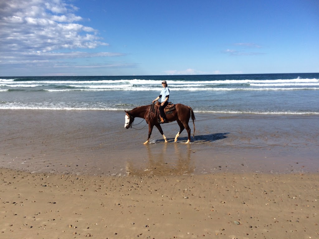 Jessies Riding Academy | Lake Cathie NSW 2445, Australia | Phone: 0416 309 486