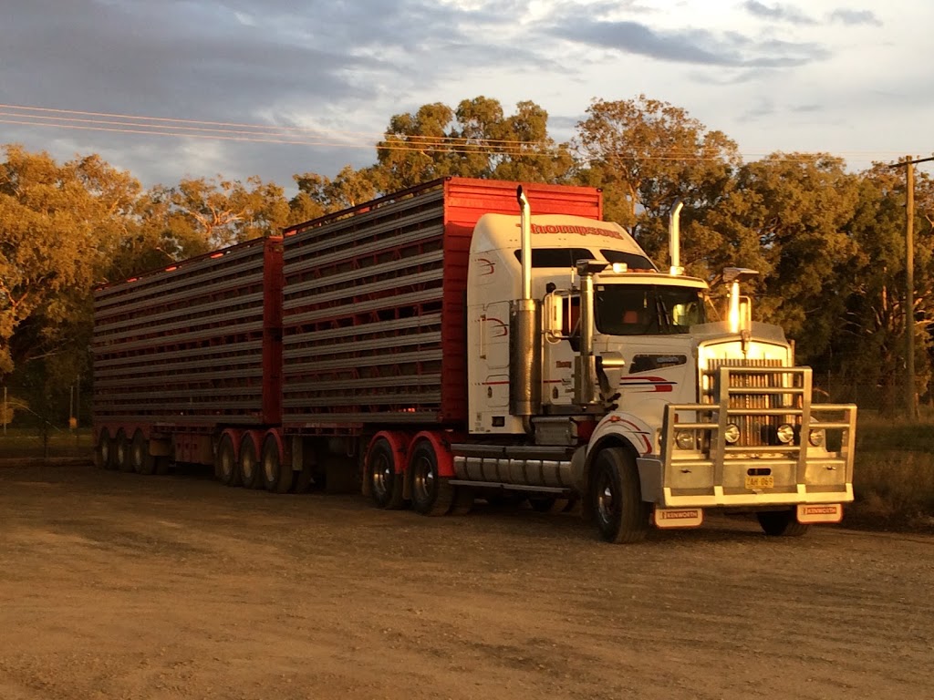 Thompsons Cowra Livestock Transport | moving company | 26-28 Mees St, Cowra NSW 2794, Australia | 0263424966 OR +61 2 6342 4966