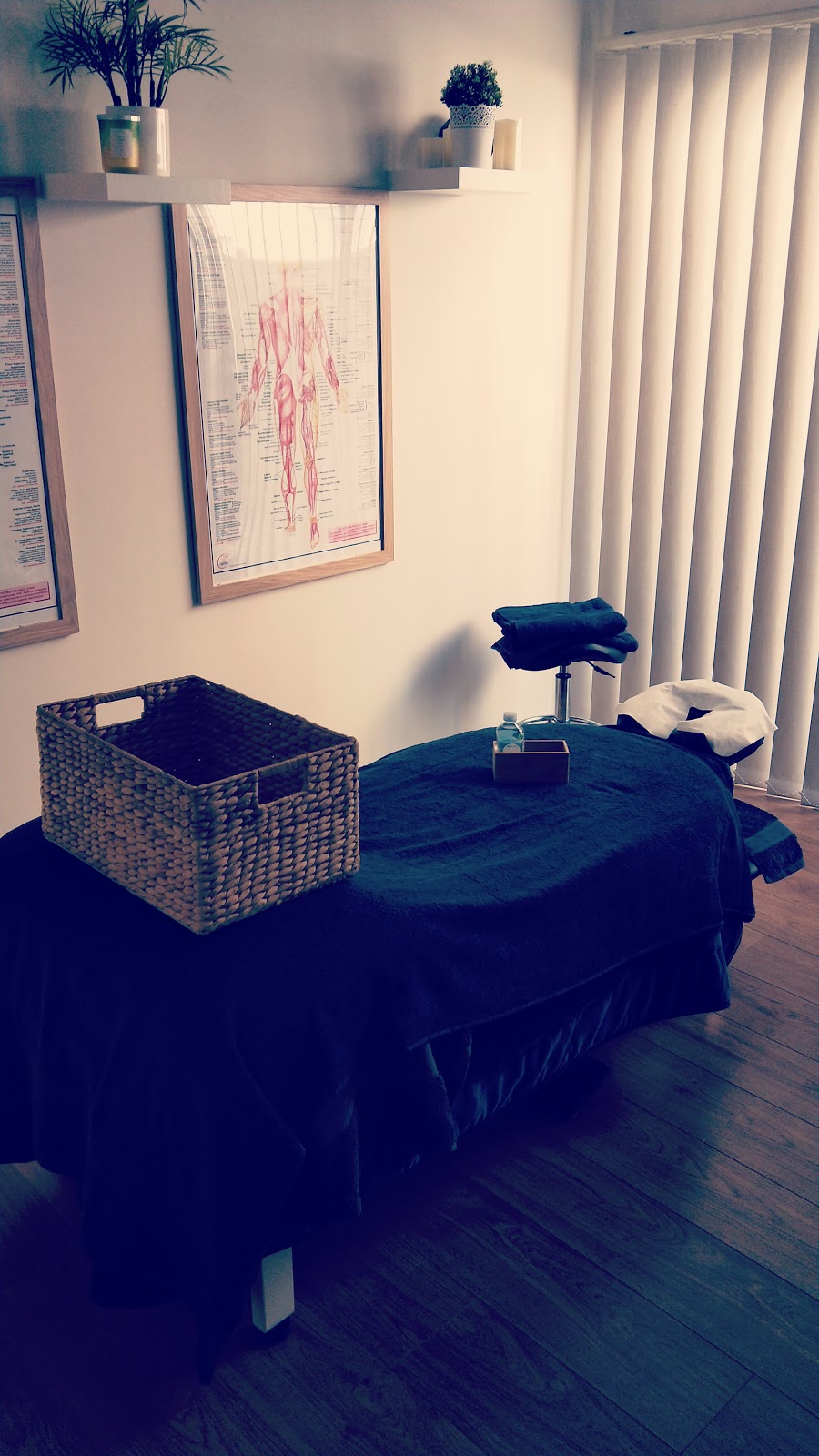 Liz Williams Remedial Massage | 42 Ritchie Dr, Clyde North VIC 3978, Australia | Phone: 0467 609 953