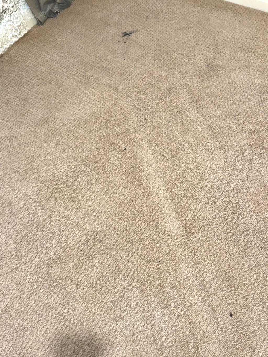 Ozzy Carpet Cleaning | 22 Gibson Way, Maddingley VIC 3340, Australia | Phone: 0406 852 749