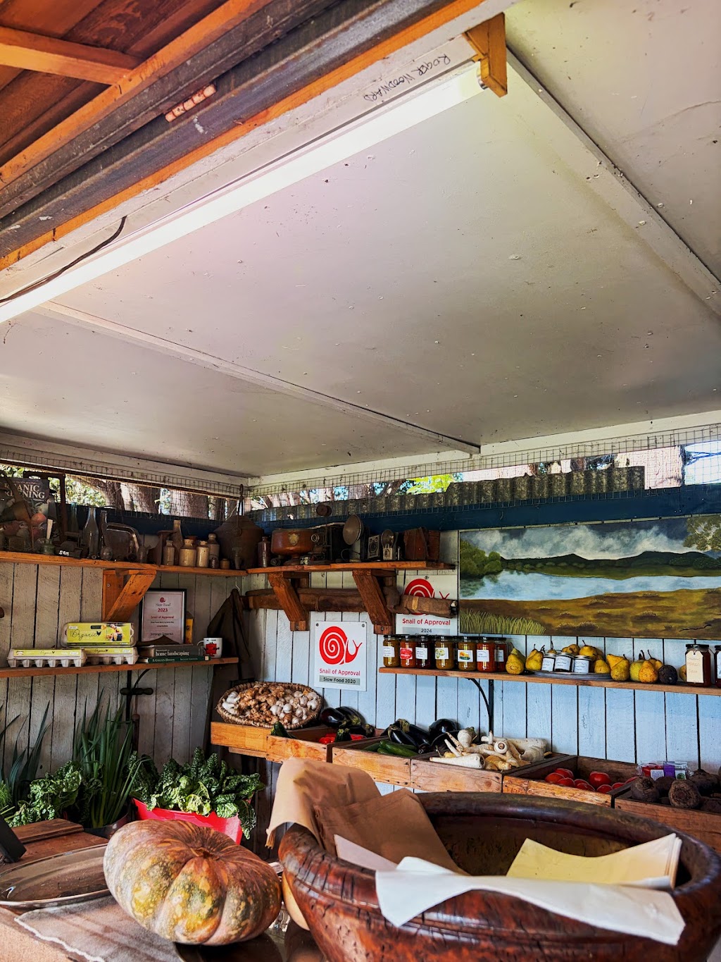 Strong Organics | 131 Millbank Rd, Terara NSW 2540, Australia | Phone: 0402 882 785