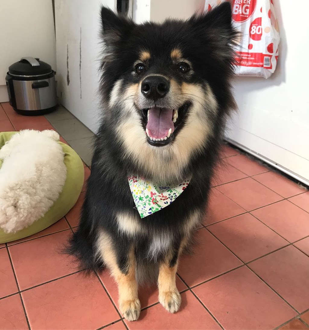 Wagtale Dog Grooming | 3/64 Colby Dr, Belgrave Heights VIC 3160, Australia | Phone: 0477 075 305