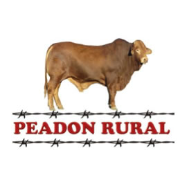 Peadon Rural | 10 Industrial Rd, Crows Nest QLD 4355, Australia | Phone: (07) 4698 2299