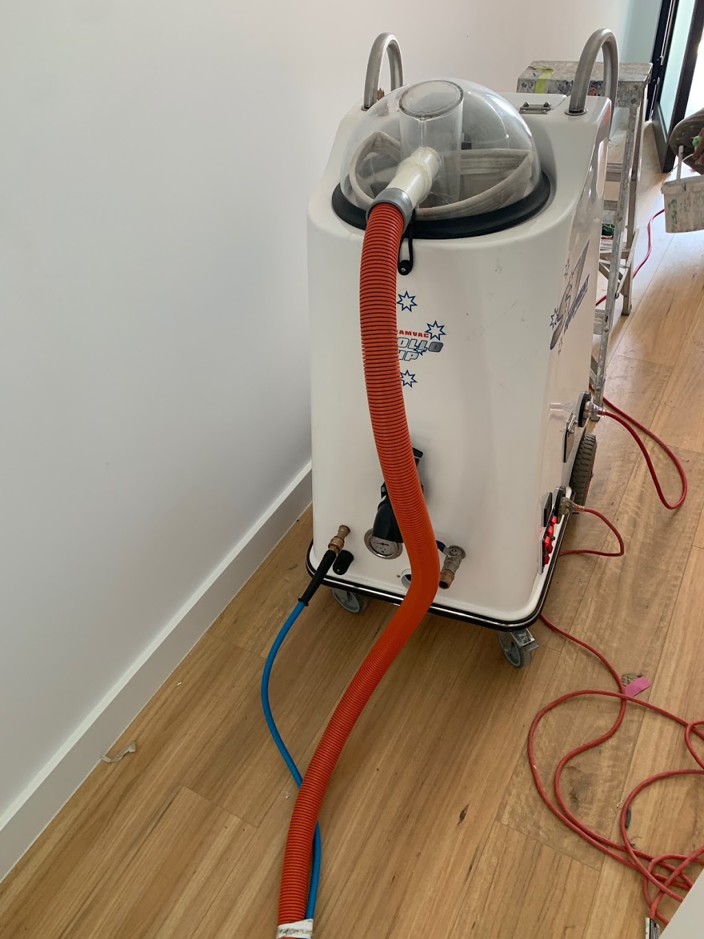 Absolute Carpet Cleaning | Unley Park | laundry | 20 Whistler Ave, Unley Park SA 5061, Australia | 0874445347 OR +61 8 7444 5347