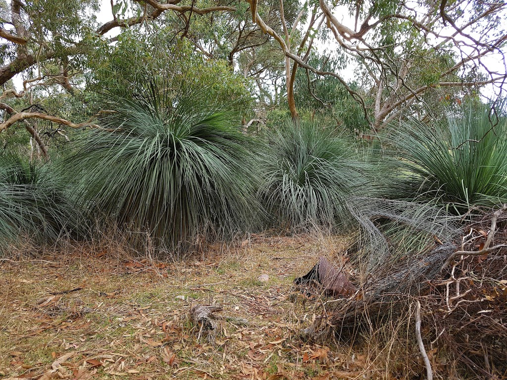 Cromer Conservation Park | park | Cromer Rd, Cromer SA 5235, Australia | 0882041910 OR +61 8 8204 1910