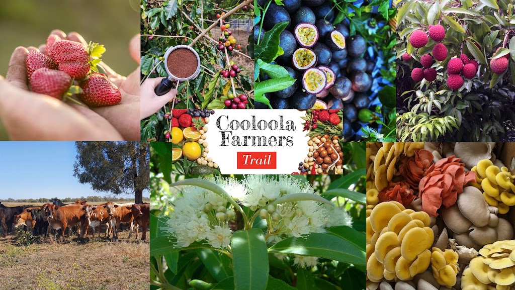 Cooloola Farm Trail |  | 452 Sister Tree Creek Rd, Kin Kin QLD 4571, Australia | 0409471297 OR +61 409 471 297