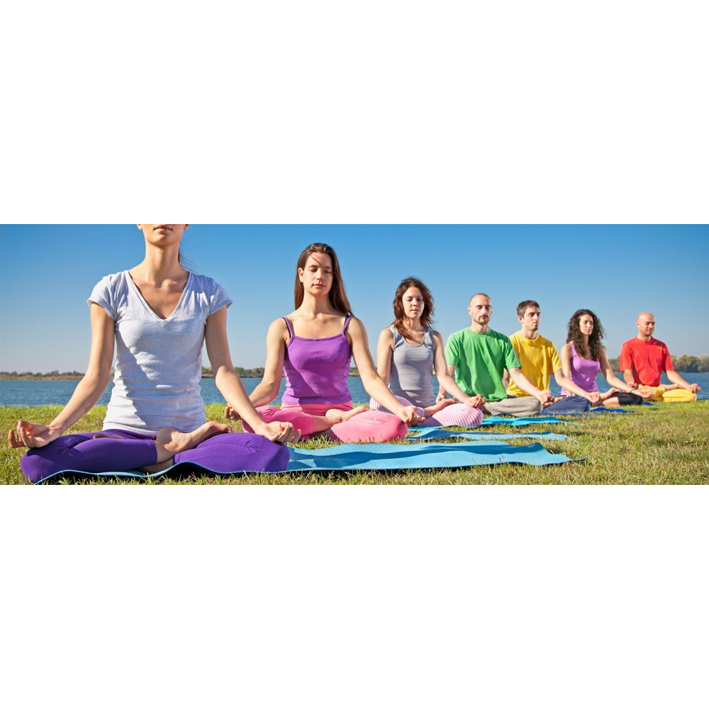 Campbelltown Yoga | gym | 40 Lithgow St, Campbelltown NSW 2560, Australia | 0412353449 OR +61 412 353 449