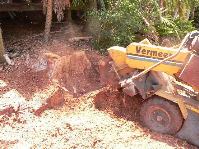 Tree Removals Gold Coast | general contractor | 459 Stapylton Jacobs Well Rd, Stapylton QLD 4207, Australia | 0428885979 OR +61 428 885 979