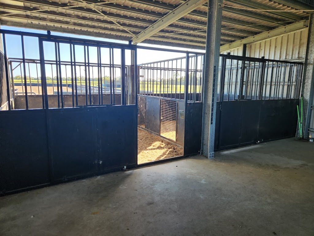 Malouba Equine | 163 Abbotts Rd, Palmyra QLD 4751, Australia | Phone: 0438 751 902