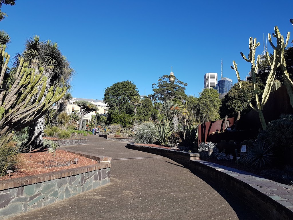 Succulent Garden | Friends of the Royal Botanic Gardens, Sydney NSW 2000, Australia | Phone: (02) 9231 8111