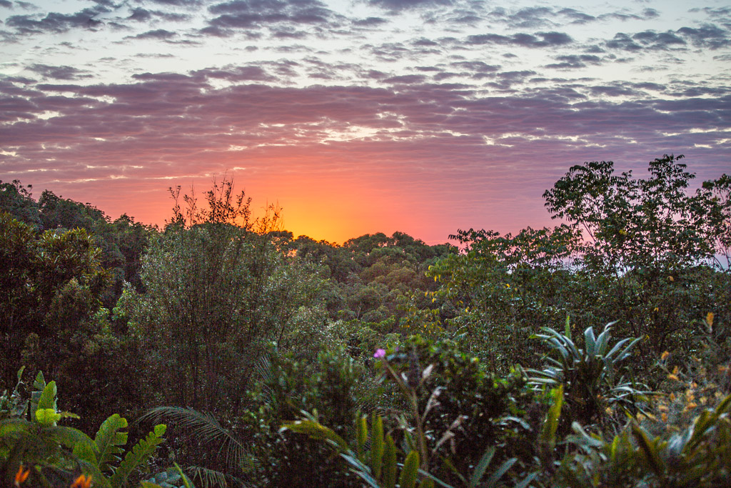 Sangsurya Retreat Centre | 95 Old Bangalow Rd, Byron Bay NSW 2481, Australia | Phone: 0468 827 090