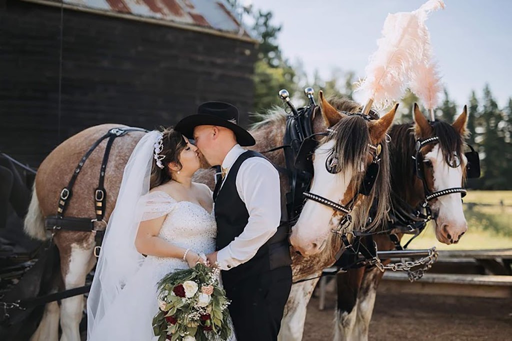 Almost Heaven Clydesdales | 8 Main St, Sheffield TAS 7306, Australia | Phone: 0429 937 423