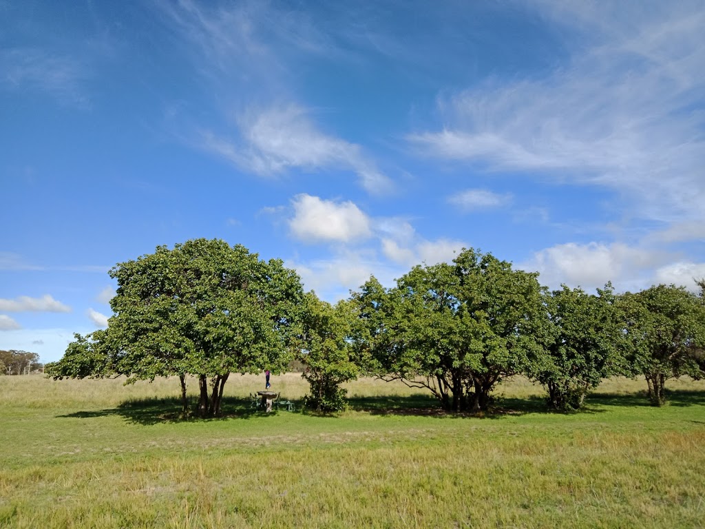 Spencer Lane Cottages |  | 27 Spencer Ln, Broadwater QLD 4380, Australia | 0427814444 OR +61 427 814 444