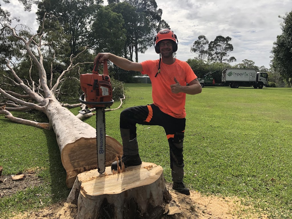 Tree Fix | 212 Wappa Falls Rd, Yandina QLD 4561, Australia | Phone: 0439 724 013