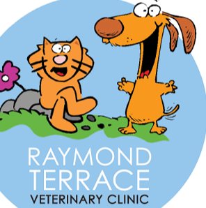 Raymond Terrace Veterinary Clinic | 63 Port Stephens St, Raymond Terrace NSW 2324, Australia | Phone: (02) 4987 1111