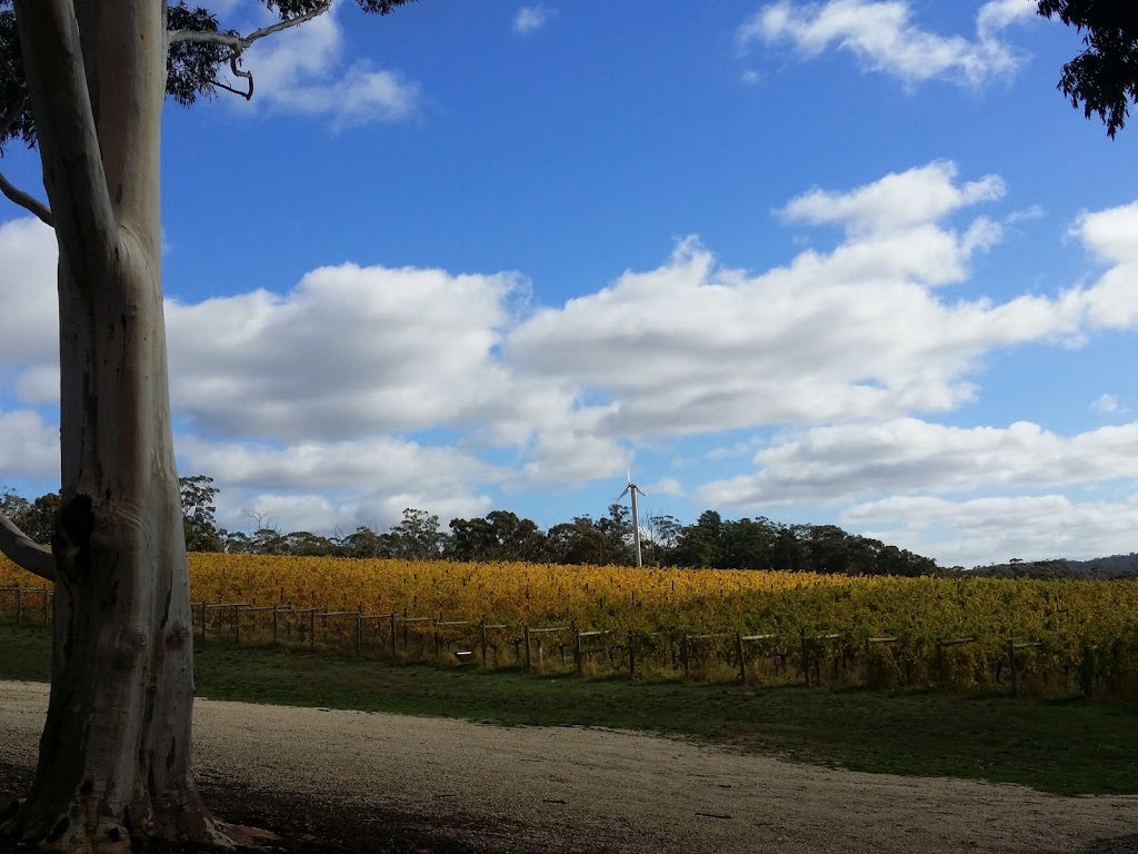 BlackJack Wines | tourist attraction | 3379 Harmony Way, Harcourt VIC 3453, Australia | 0354742355 OR +61 3 5474 2355