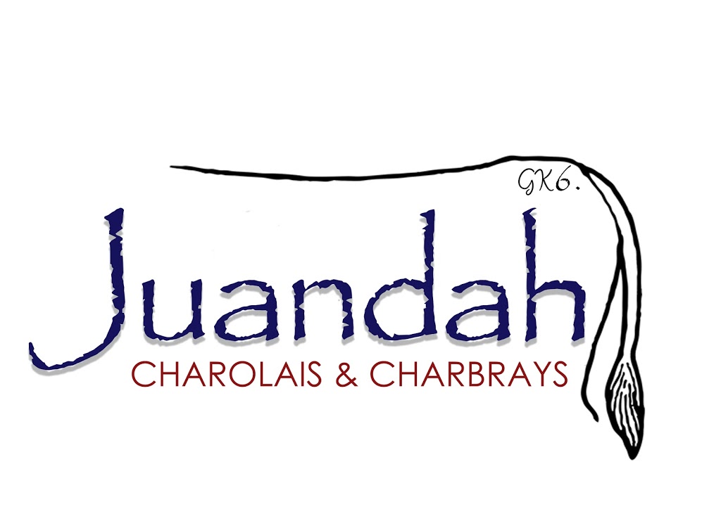 Juandah Charolais & Charbray |  | Guluguba QLD 4418, Australia | 0409729186 OR +61 409 729 186