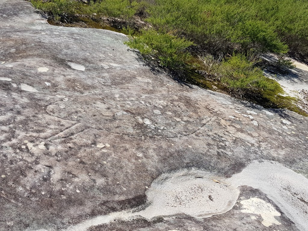 Jibbon Rock Engravings | park | Royal National Park NSW 2233, Australia