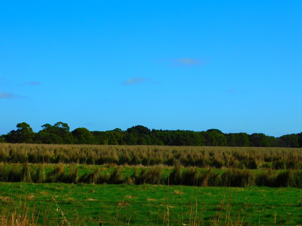 Basalt to Bay Landcare Network | Historic Railway Station, Bourke Ave, Koroit VIC 3282, Australia | Phone: 0408 712 713