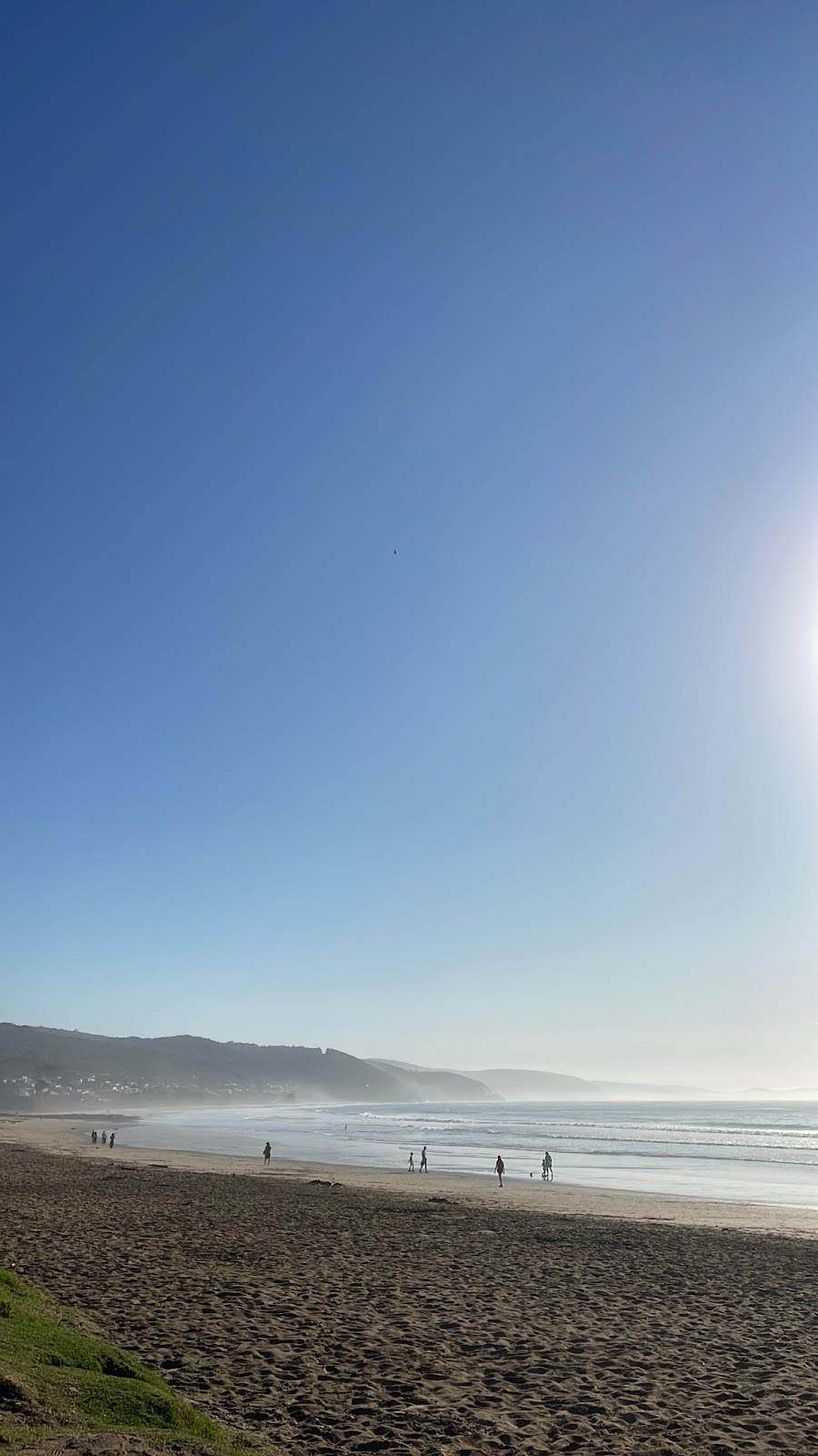 Runnymede Farm | 1700 Deans Marsh-Lorne Rd, Lorne VIC 3232, Australia | Phone: 0407 276 477