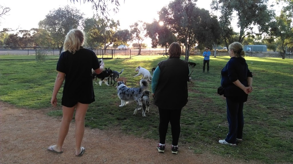 Renmark Dog Park | park | 11/19 Cook St, Renmark SA 5341, Australia