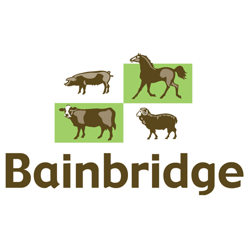 Bainbridge |  | 26 Avatonbell Dr, Luscombe QLD 4207, Australia | 1300721099 OR +61 1300 721 099