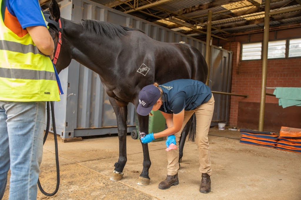 Equus Veterinary Services | veterinary care | 78 Fullwoods Rd, Mount Pleasant SA 5235, Australia | 0437877004 OR +61 437 877 004