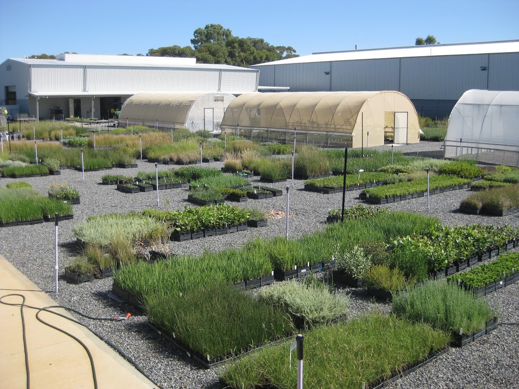 Edinburgh Parks Nursery (Wholesale only) | 66-68 West Ave, Edinburgh SA 5111, Australia | Phone: 0438 895 160