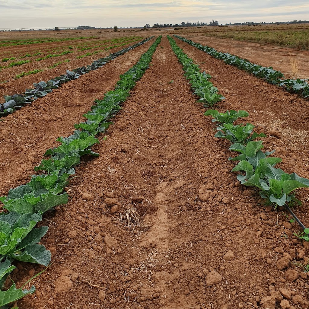 Save our soil Australia | 5 Wattle St, Kyabram VIC 3620, Australia | Phone: 0427 503 750